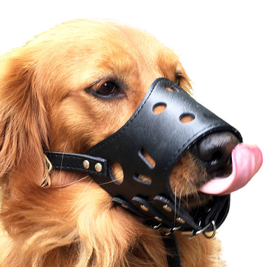 Leather Dog Outdoor Muzzle