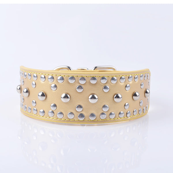 Fashion Studded Dog Collars