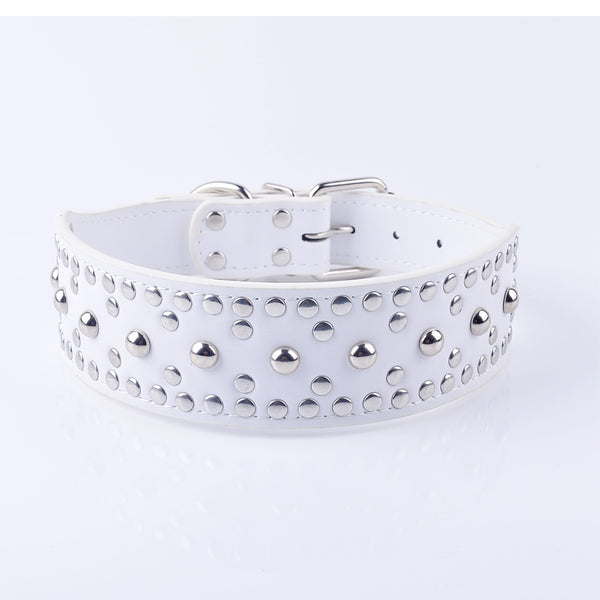Fashion Studded Dog Collars