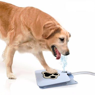 Creative Dog Water Fountain Pedal