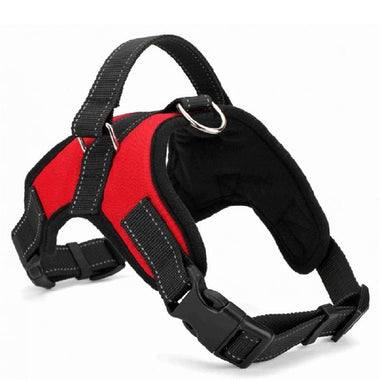 Reflective Safety Outdoor Harness