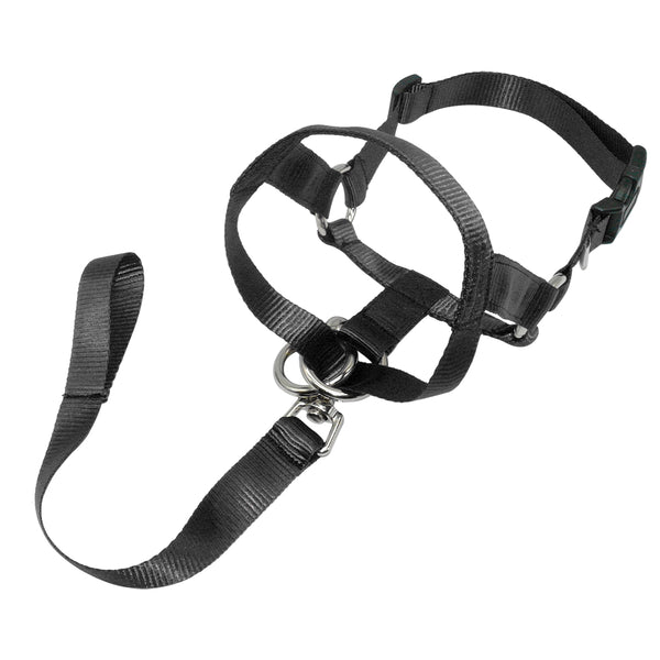 Dog Training Halter Muzzle