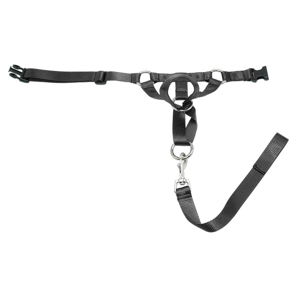 Dog Training Halter Muzzle