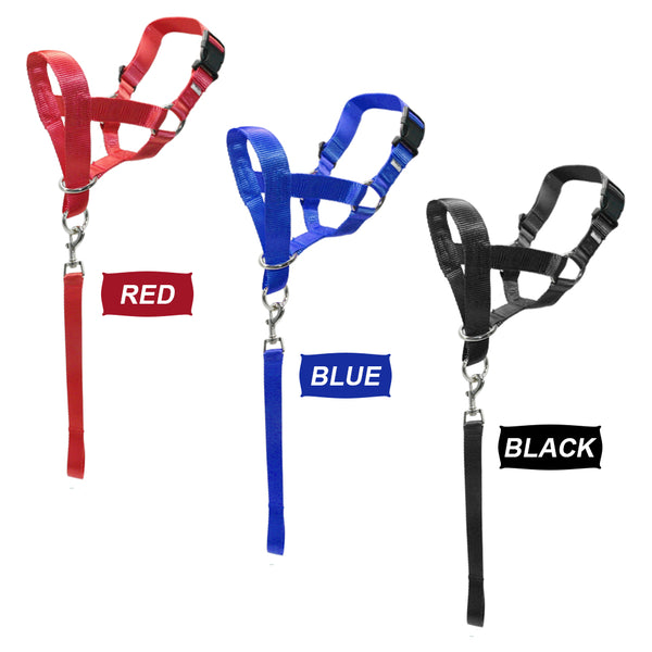 Dog Training Halter Muzzle